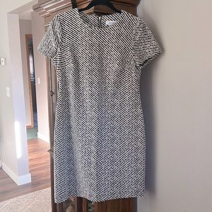 Calvin Klein Dress, 6